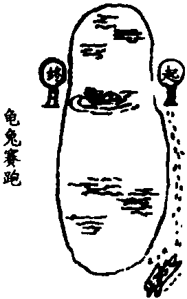 117 描述漫畫《龜兔賽跑》